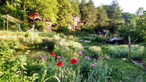 Sustainable-Skills School Target of Misguided Animal Rights Campaign Image